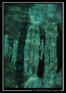 Stalactite reflect in a cenote. Canon G9 by Raoul Caprez 